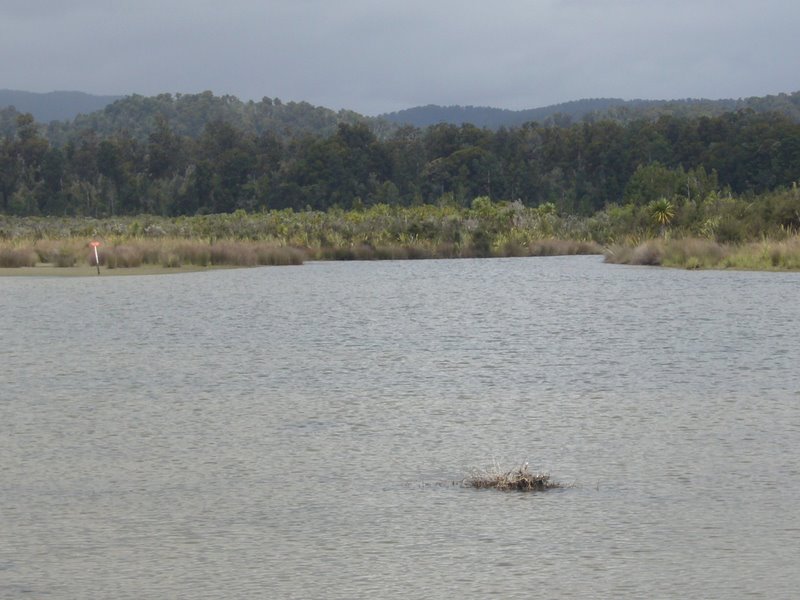 Travel - New Zealand - West Coast - Okarito